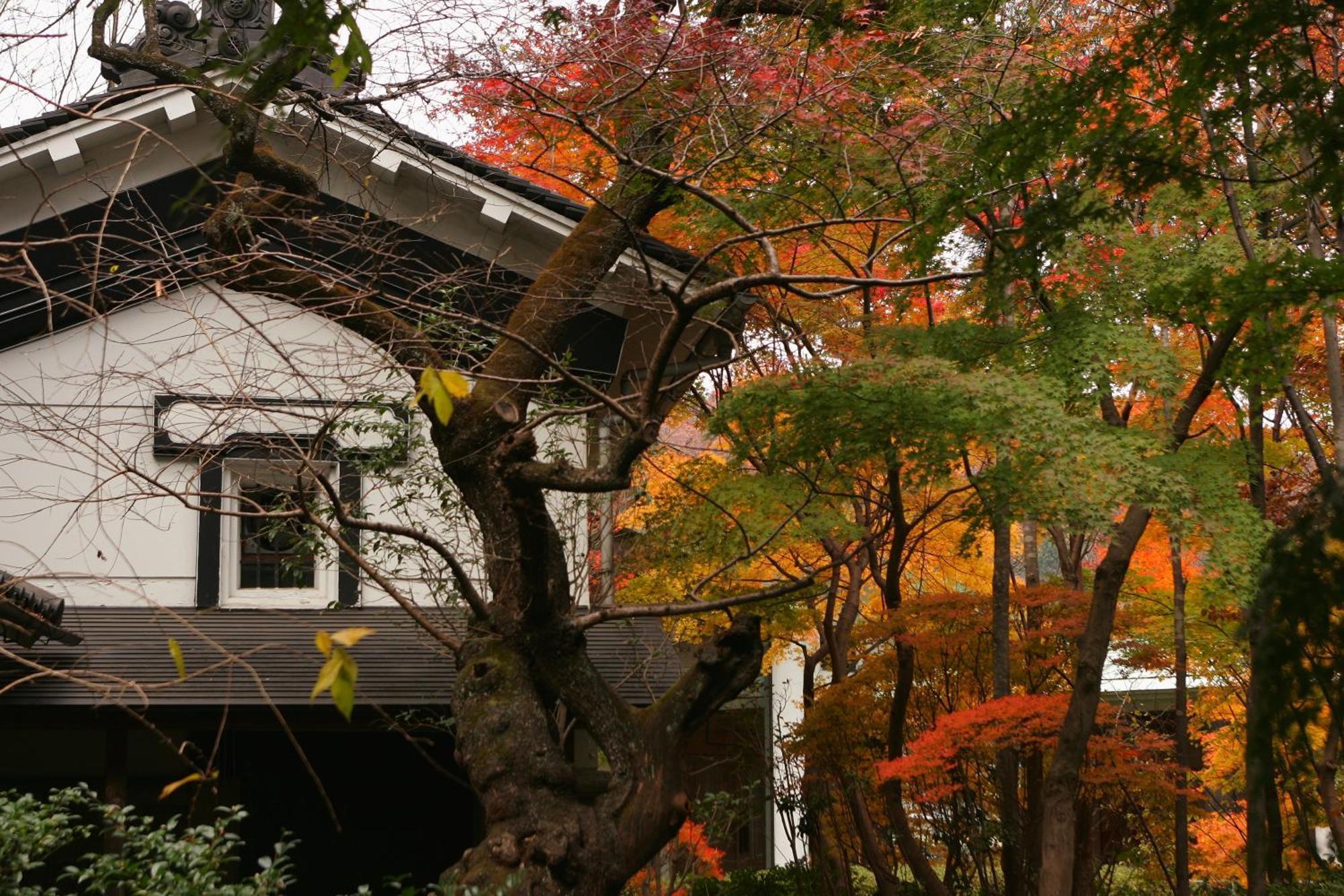 Sakan Sendai Dış mekan fotoğraf